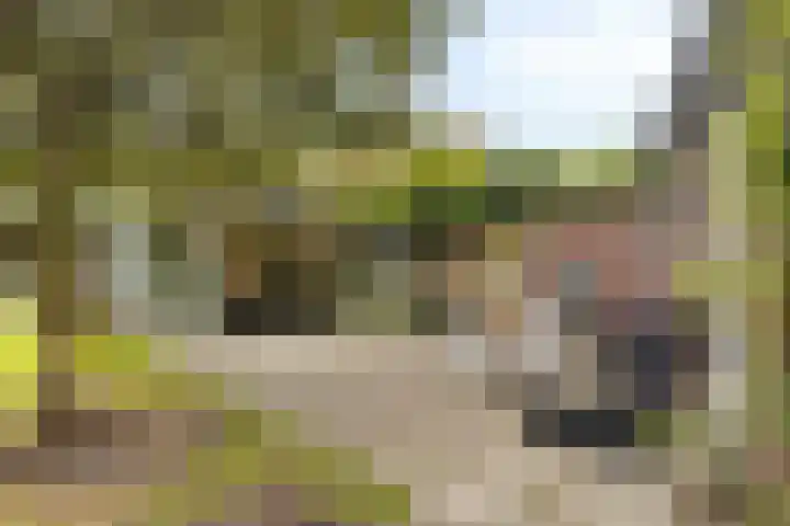 Buitenerf 81 Breda thumbnail 49