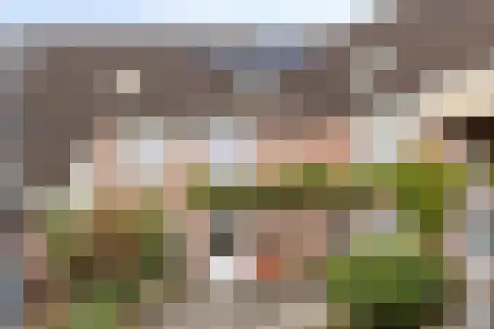 Buitenerf 81 Breda thumbnail 5
