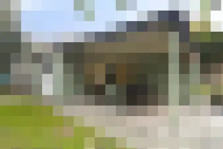 Buitenerf 81 Breda thumbnail 50