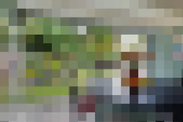 Buitenerf 81 Breda thumbnail 51