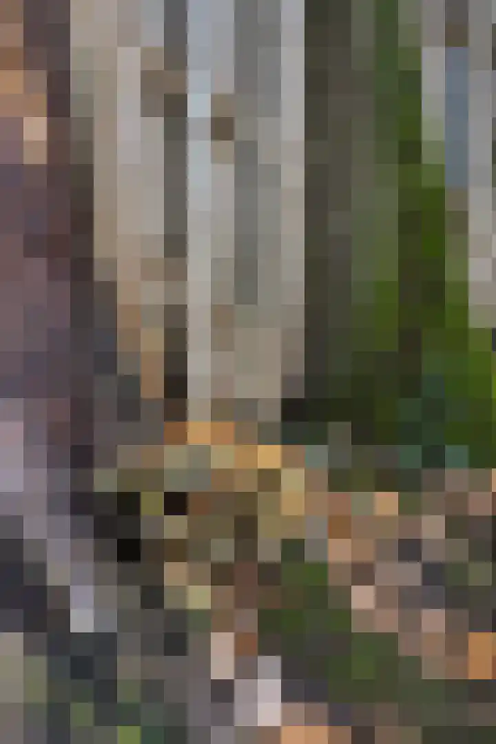 Buitenerf 81 Breda thumbnail 52