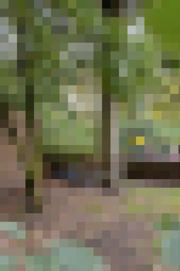Buitenerf 81 Breda thumbnail 53