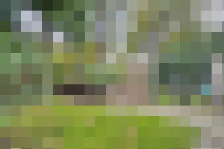 Buitenerf 81 Breda thumbnail 54