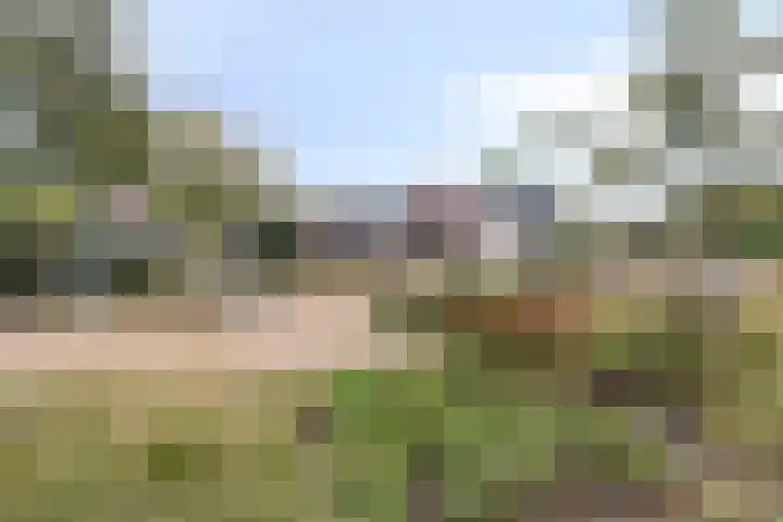 Buitenerf 81 Breda thumbnail 57