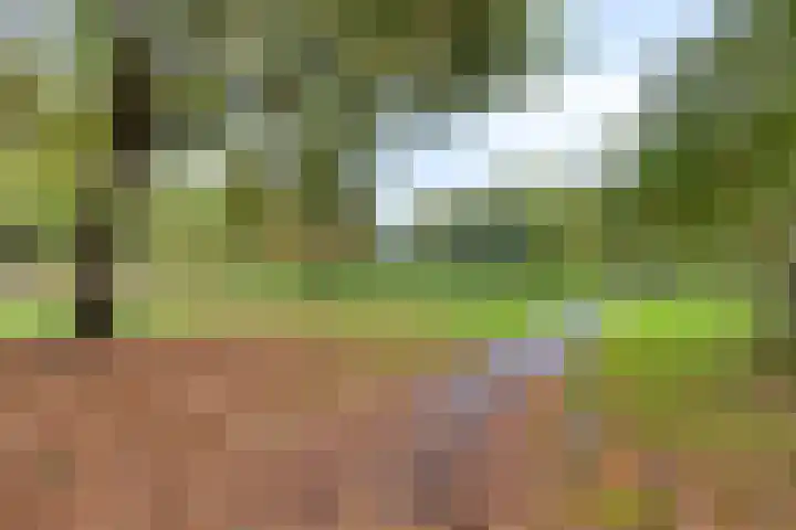 Buitenerf 81 Breda thumbnail 58