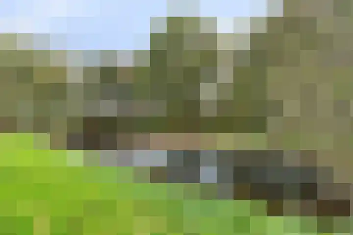 Buitenerf 81 Breda thumbnail 59