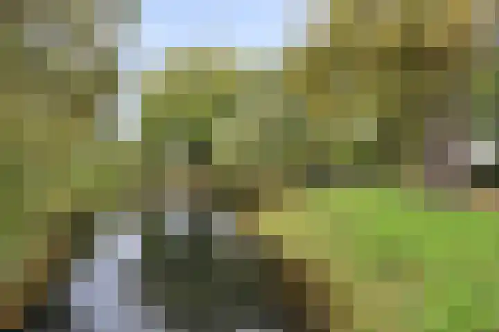 Buitenerf 81 Breda thumbnail 60