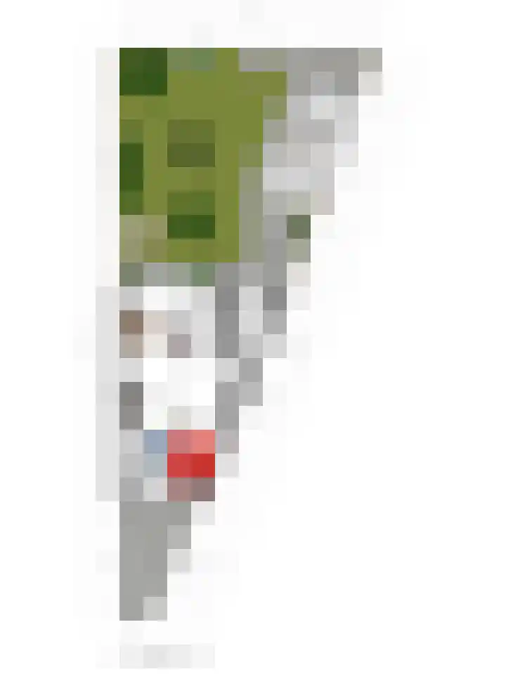 Buitenerf 81 Breda thumbnail 61