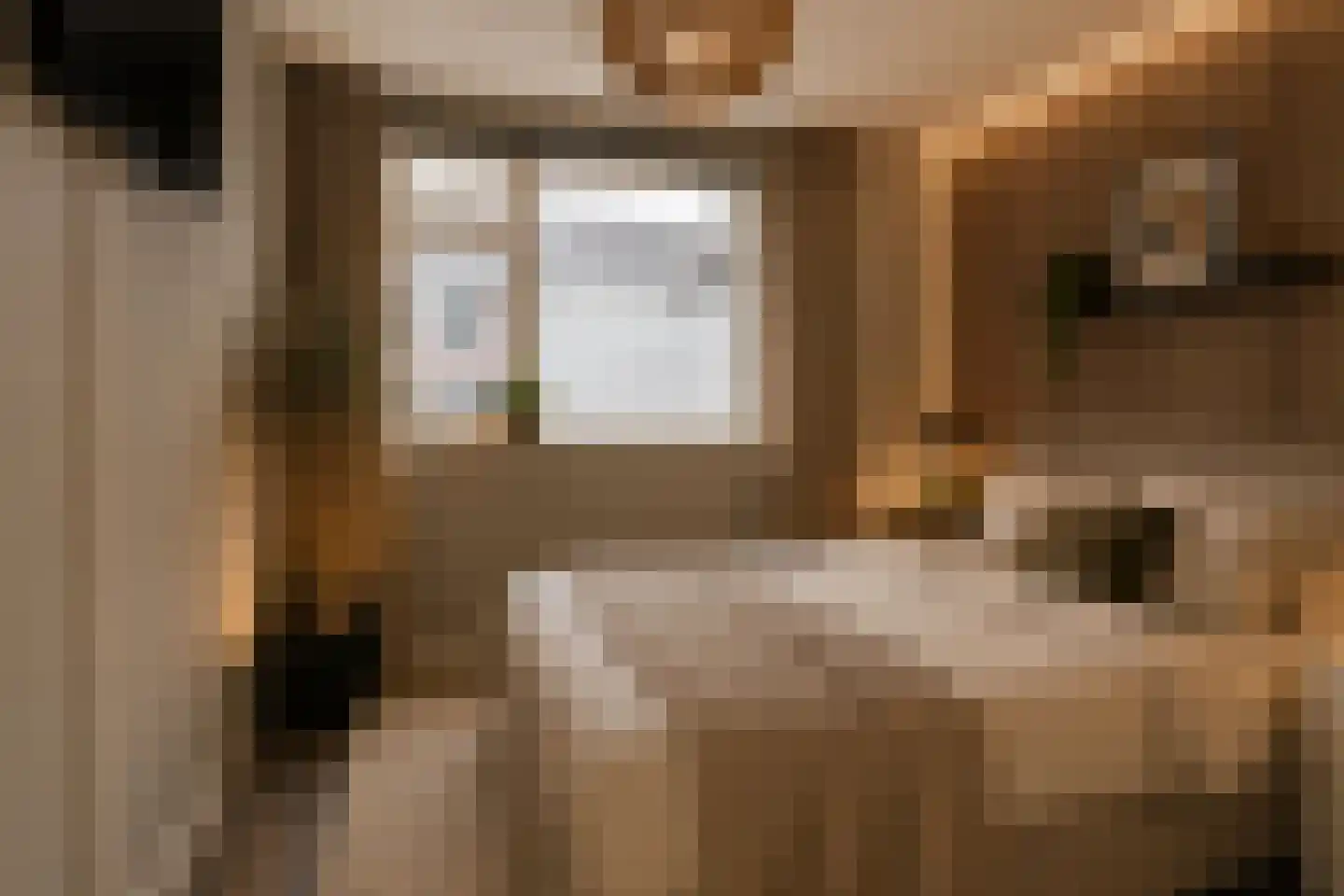 Buitenerf 88 Breda thumbnail 11
