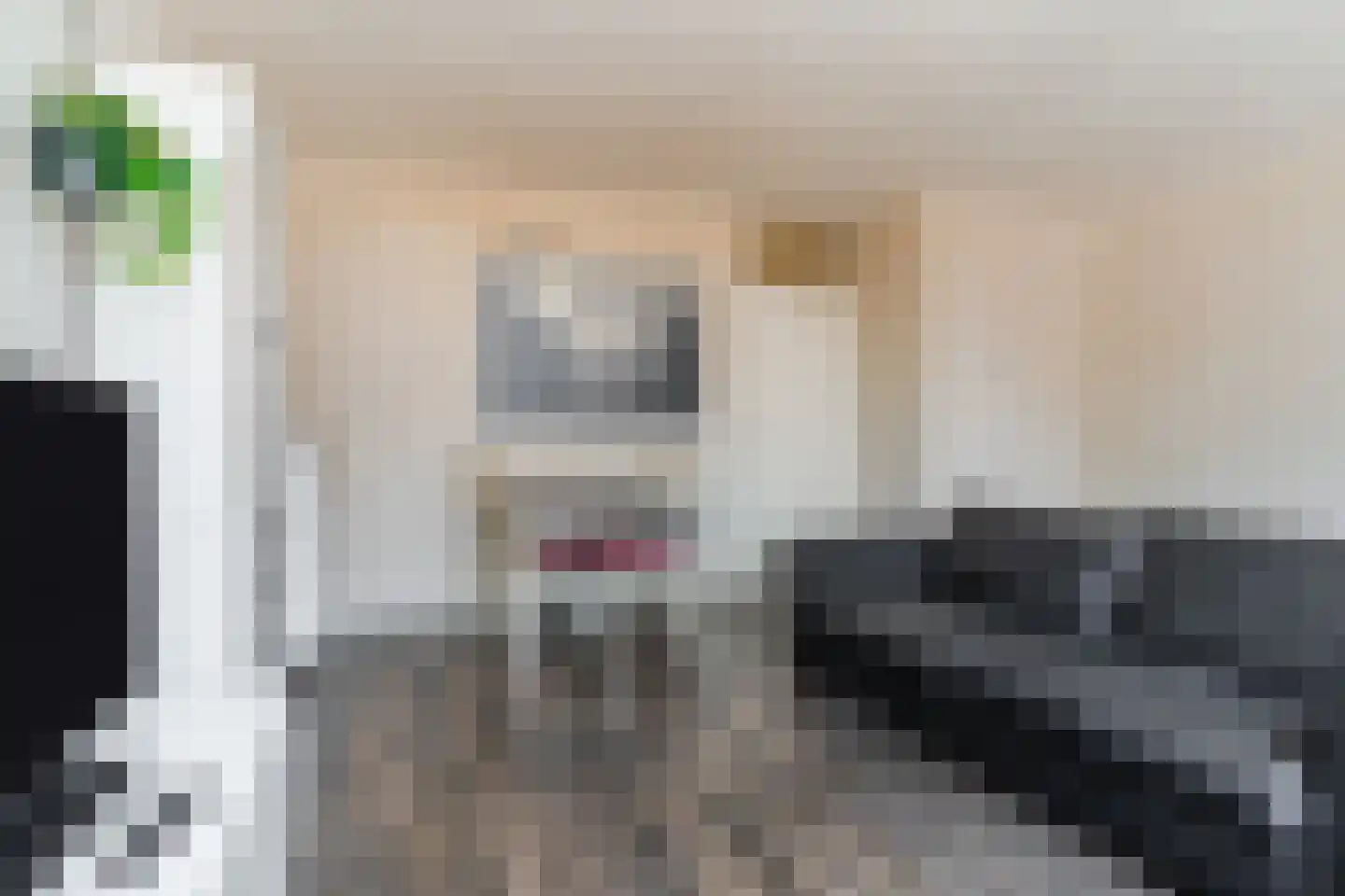 Buitenerf 88 Breda thumbnail 15