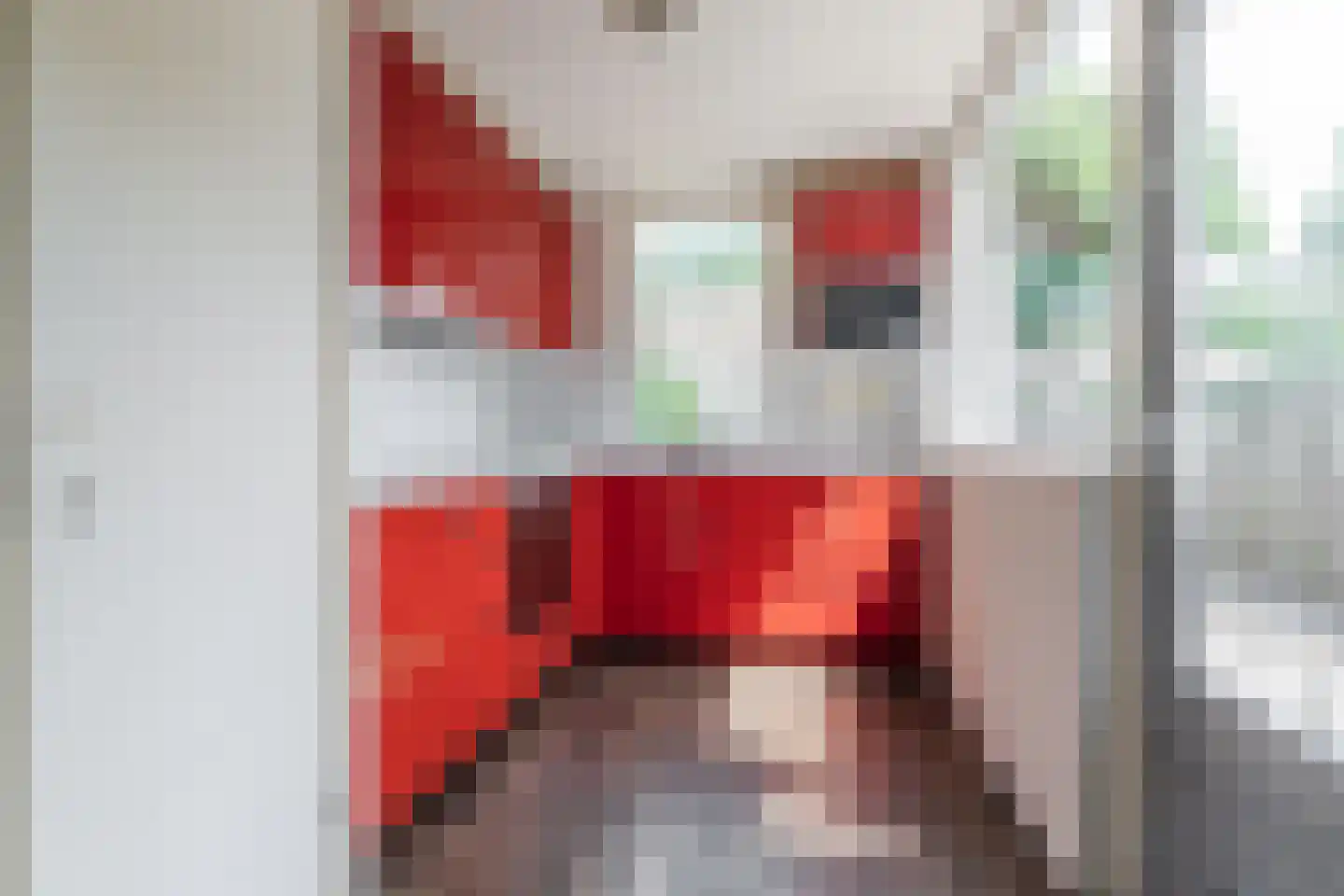 Buitenerf 88 Breda thumbnail 18
