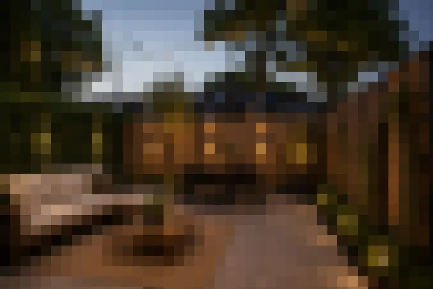 Buitenerf 88 Breda thumbnail 21
