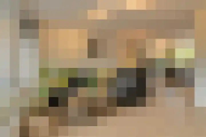 Buitenerf 95 Breda thumbnail 11