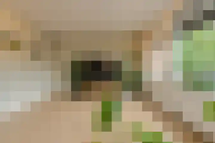 Buitenerf 95 Breda thumbnail 12