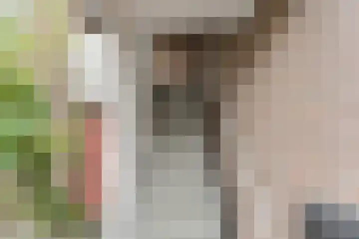 Buitenerf 95 Breda thumbnail 34