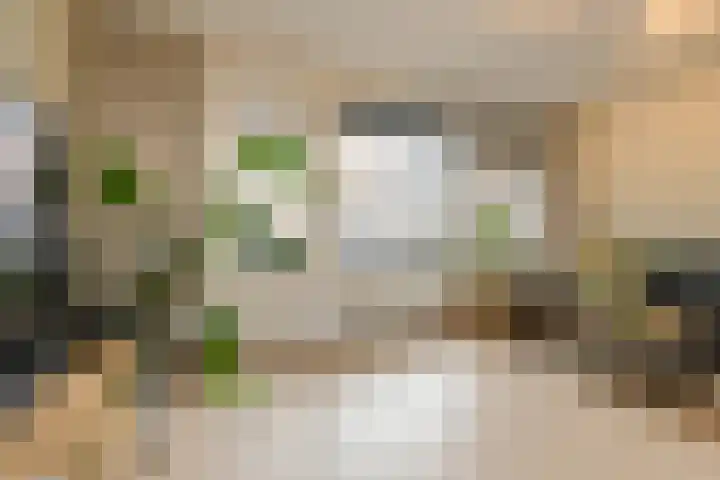 Buitenerf 95 Breda thumbnail 6