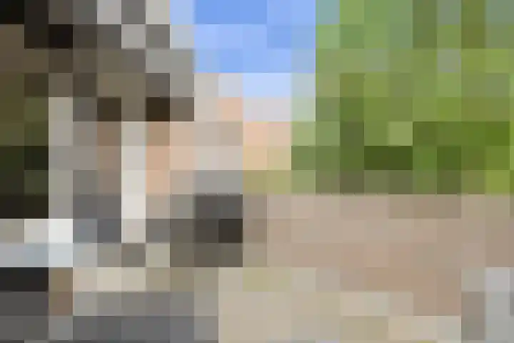 Buitenerf 95 Breda thumbnail 8