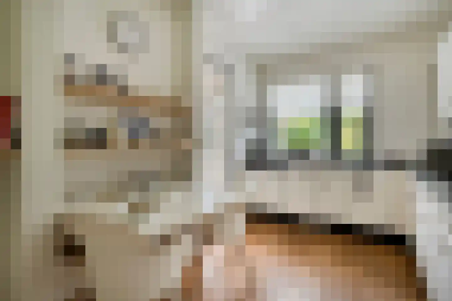 Buitenes 24 A Assen thumbnail 16