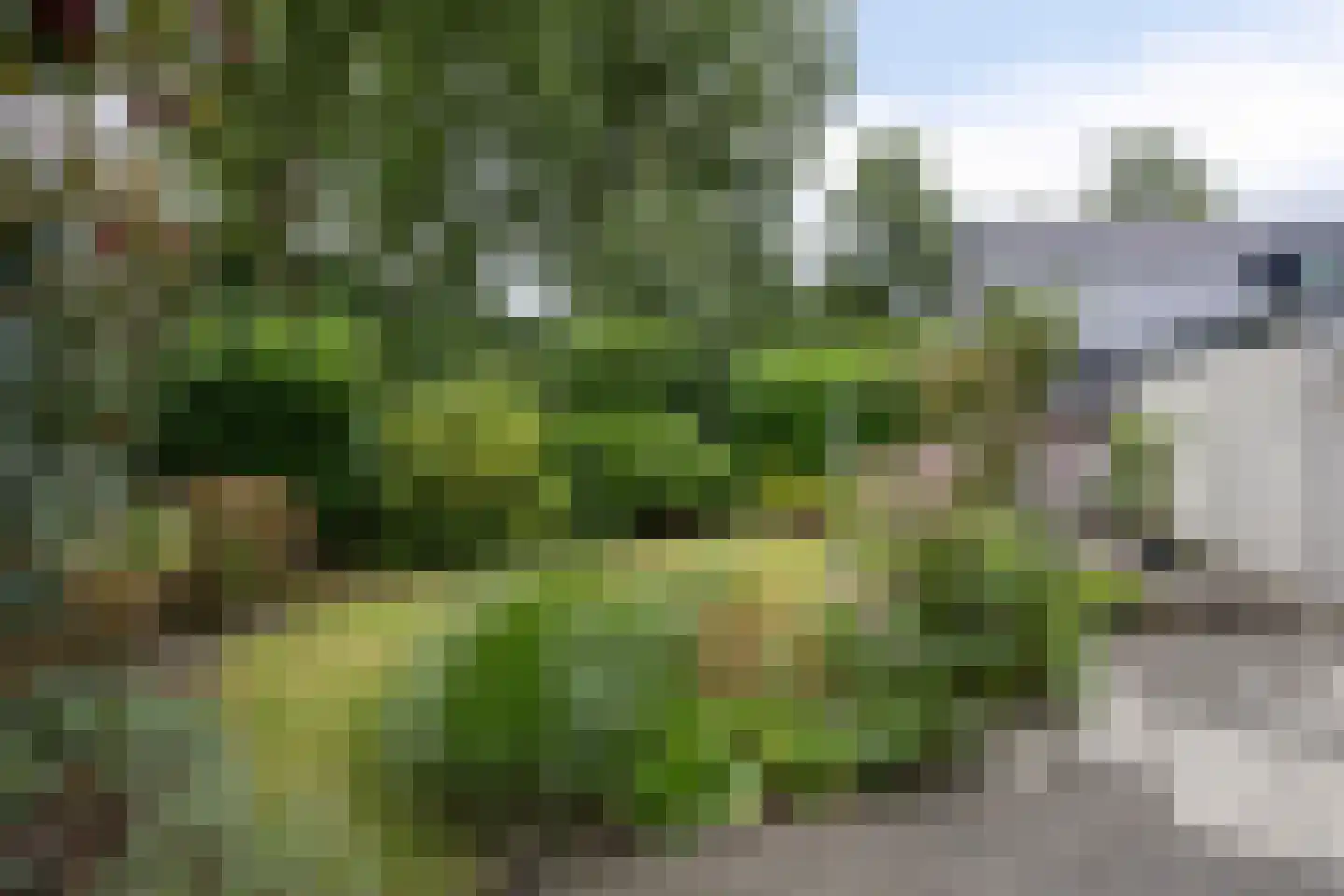 Buitenes 24 A Assen thumbnail 30