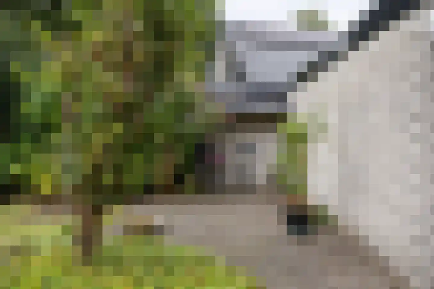 Buitenes 24 A Assen thumbnail 31
