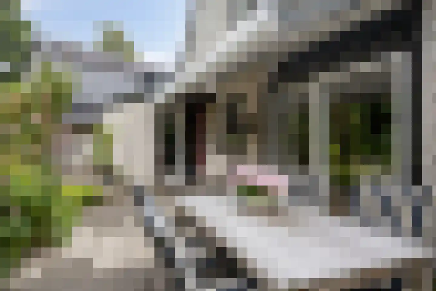 Buitenes 24 A Assen thumbnail 33