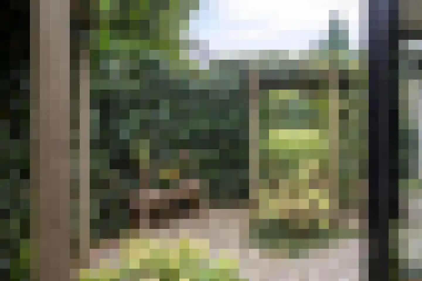Buitenes 24 A Assen thumbnail 34