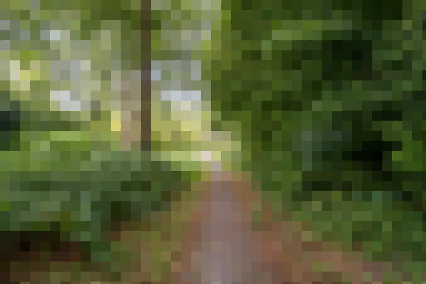 Buitenes 24 A Assen thumbnail 37