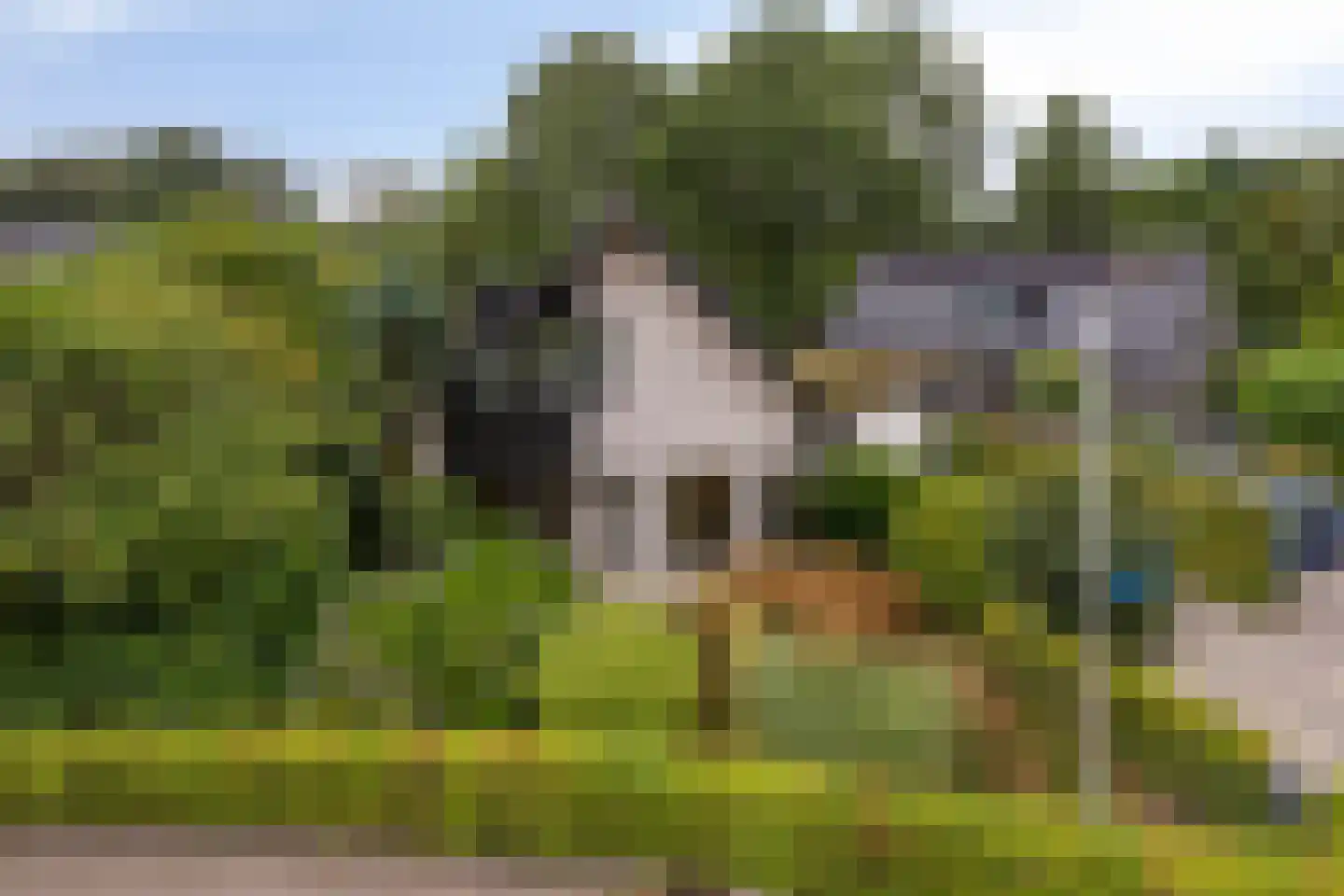 Buitenes 24 A Assen thumbnail 4