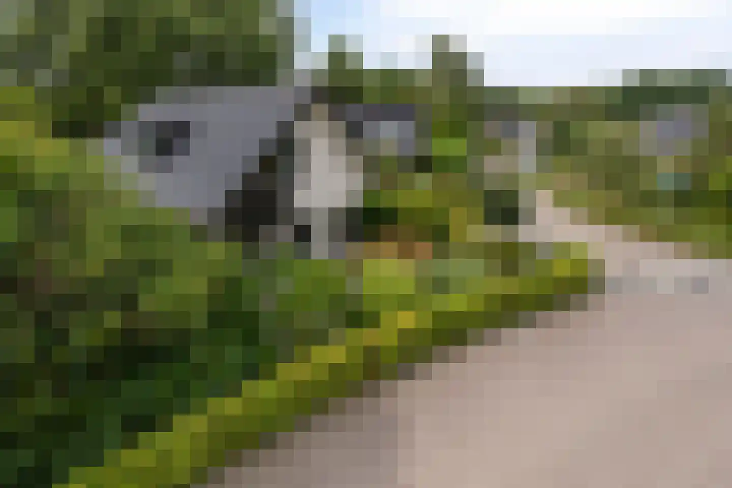 Buitenes 24 A Assen thumbnail 7
