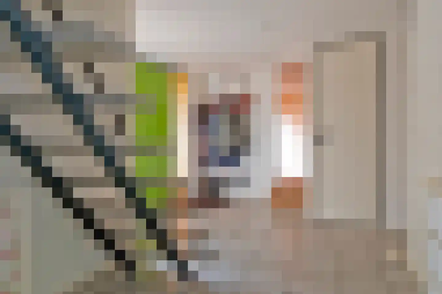 Buitenes 26 Assen thumbnail 15