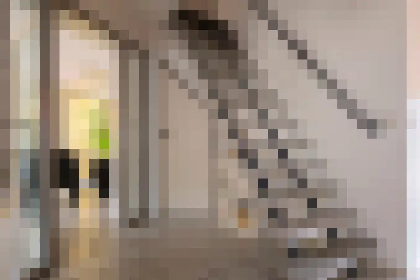 Buitenes 26 Assen thumbnail 16
