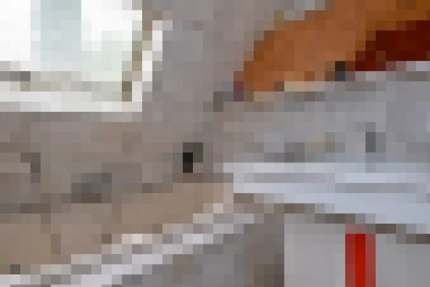 Buitenes 26 Assen thumbnail 42