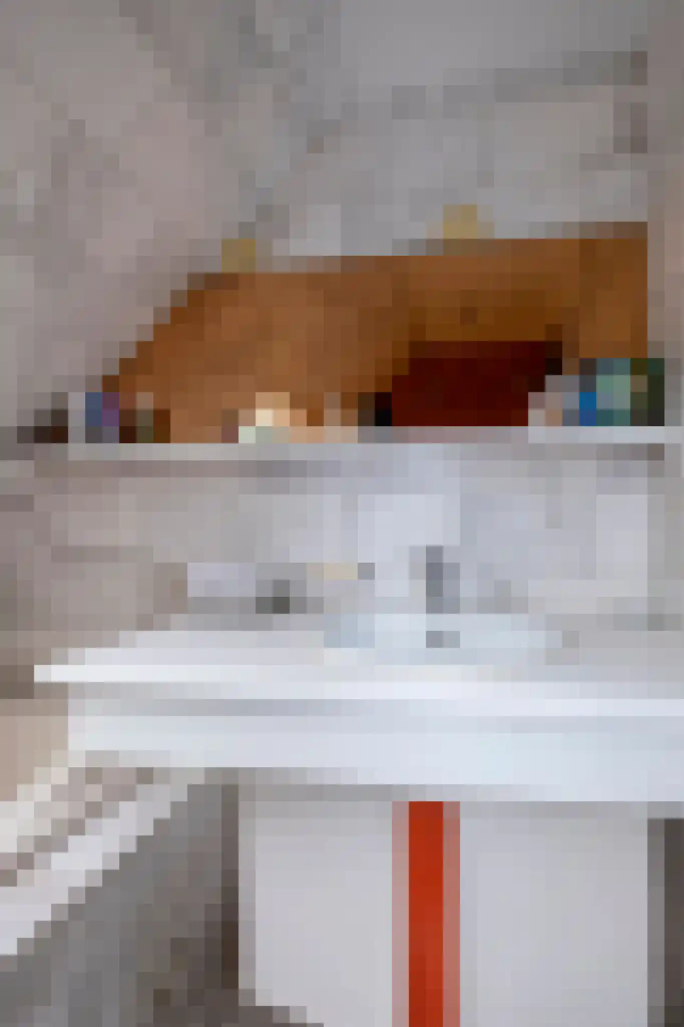 Buitenes 26 Assen thumbnail 43
