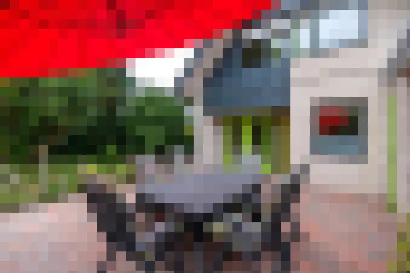 Buitenes 26 Assen thumbnail 52