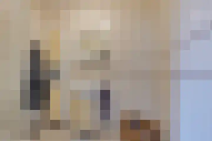 Buitenes 7 Assen thumbnail 18