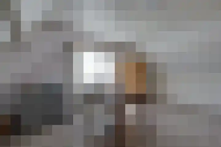 Buitenes 7 Assen thumbnail 26
