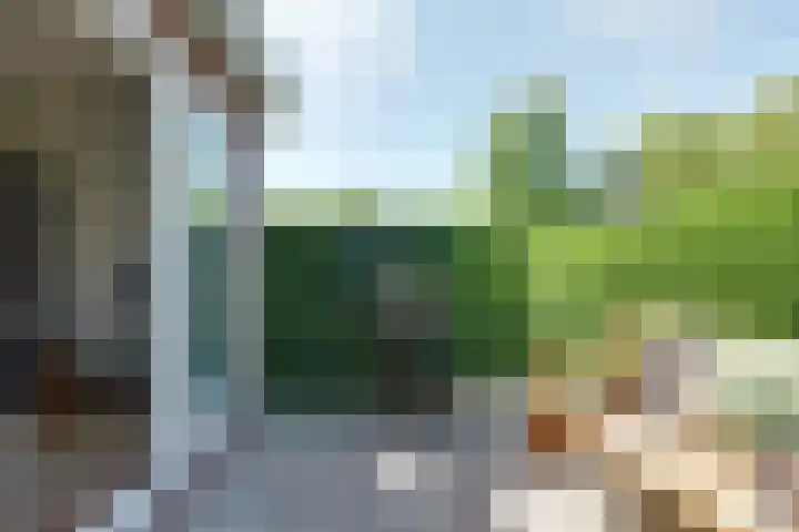 Buitenes 7 Assen thumbnail 29