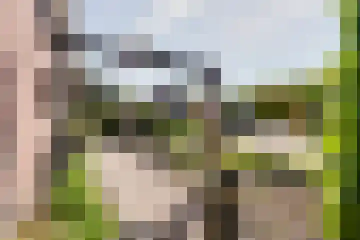 Buitenes 7 Assen thumbnail 30