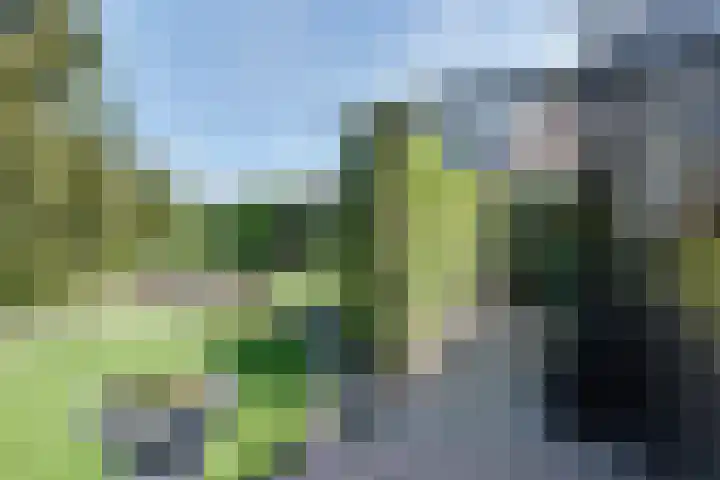 Buitenes 7 Assen thumbnail 35