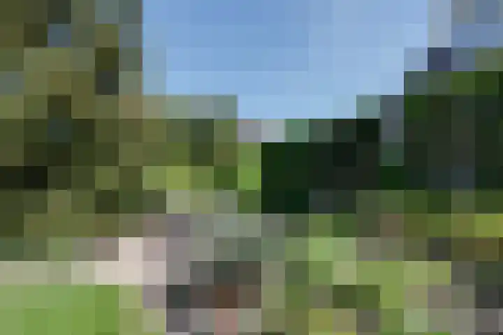 Buitenes 7 Assen thumbnail 37