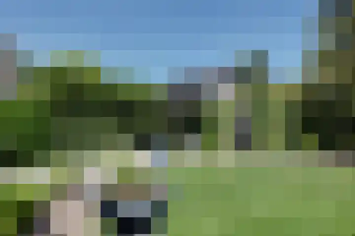 Buitenes 7 Assen thumbnail 42