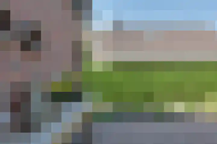 Buitenes 7 Assen thumbnail 43