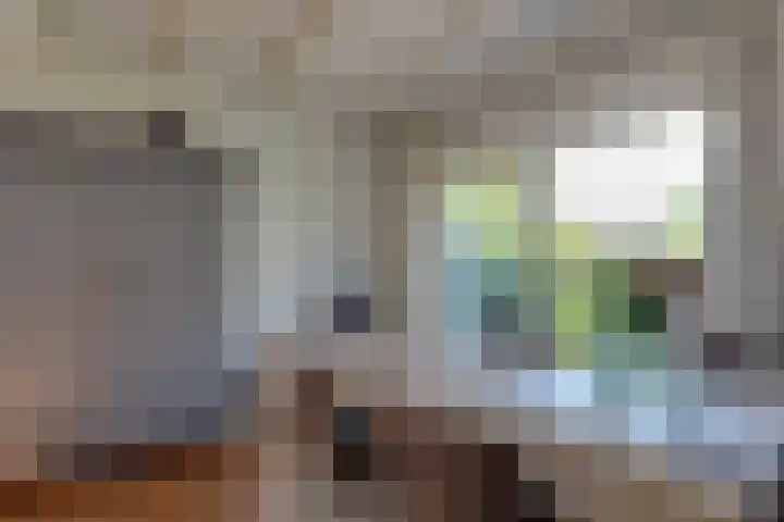 Buitenes 7 Assen thumbnail 9