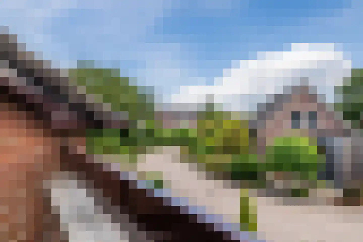 Buitenes 77 Assen thumbnail 40