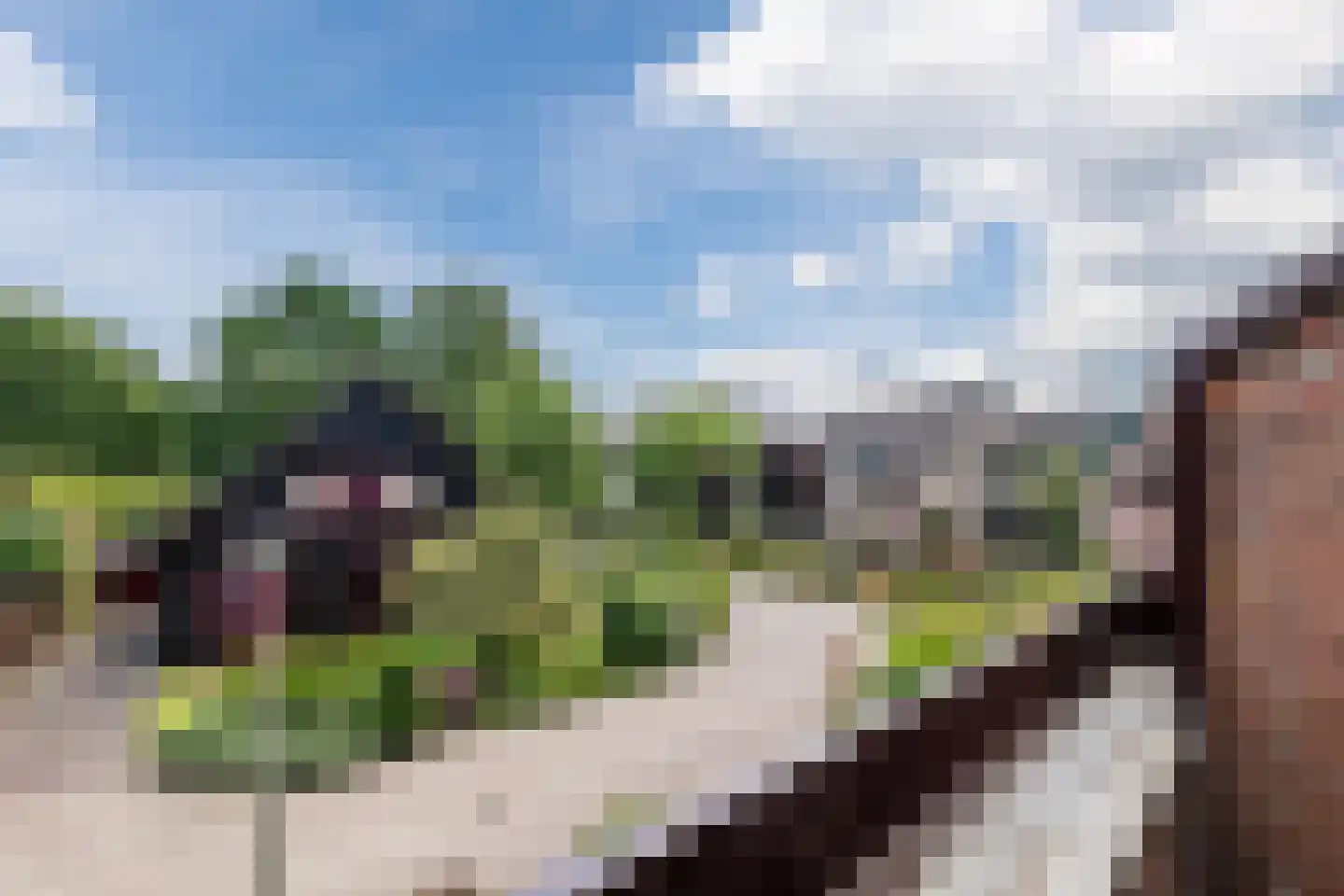 Buitenes 77 Assen thumbnail 41