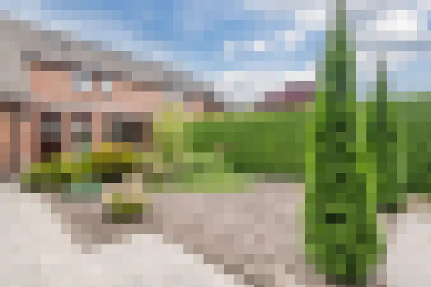 Buitenes 77 Assen thumbnail 48