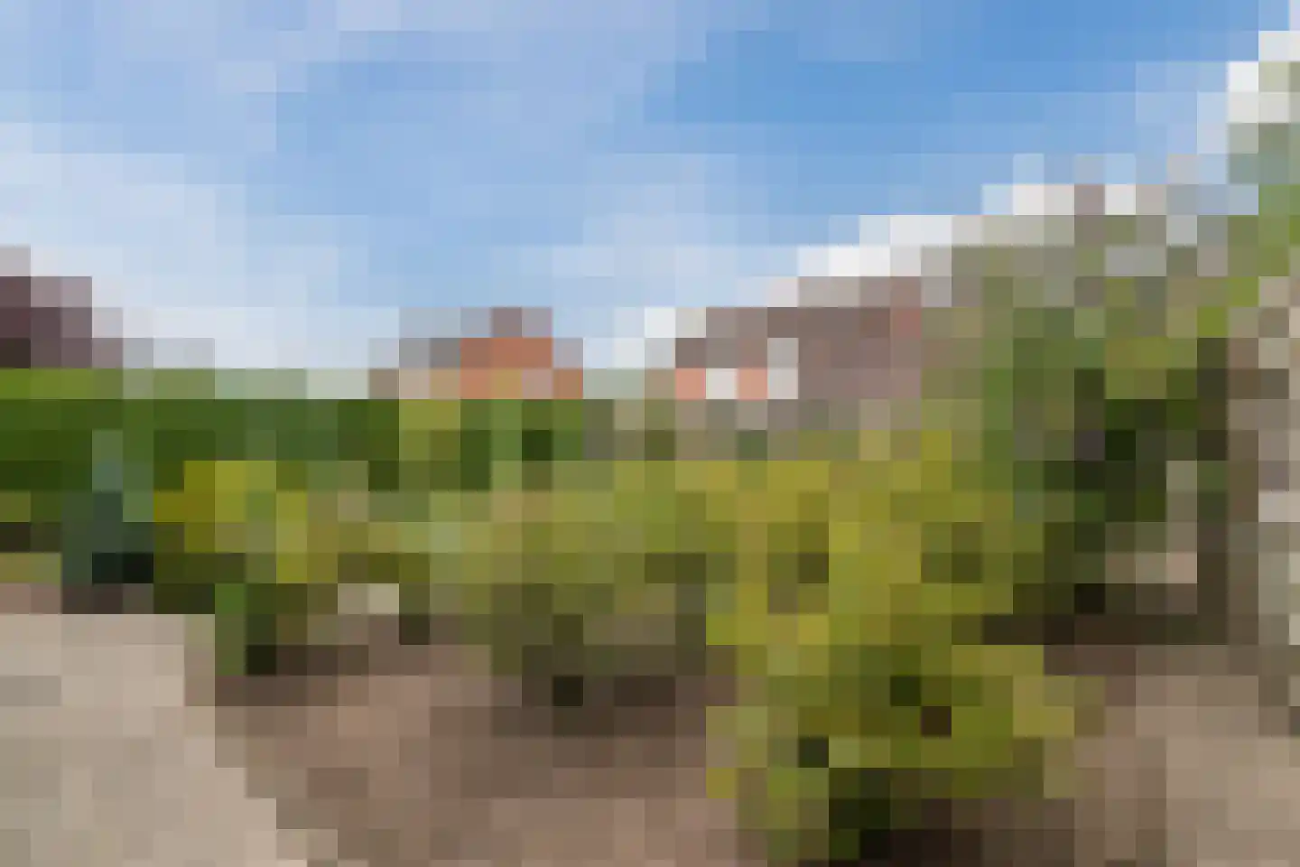 Buitenes 77 Assen thumbnail 49