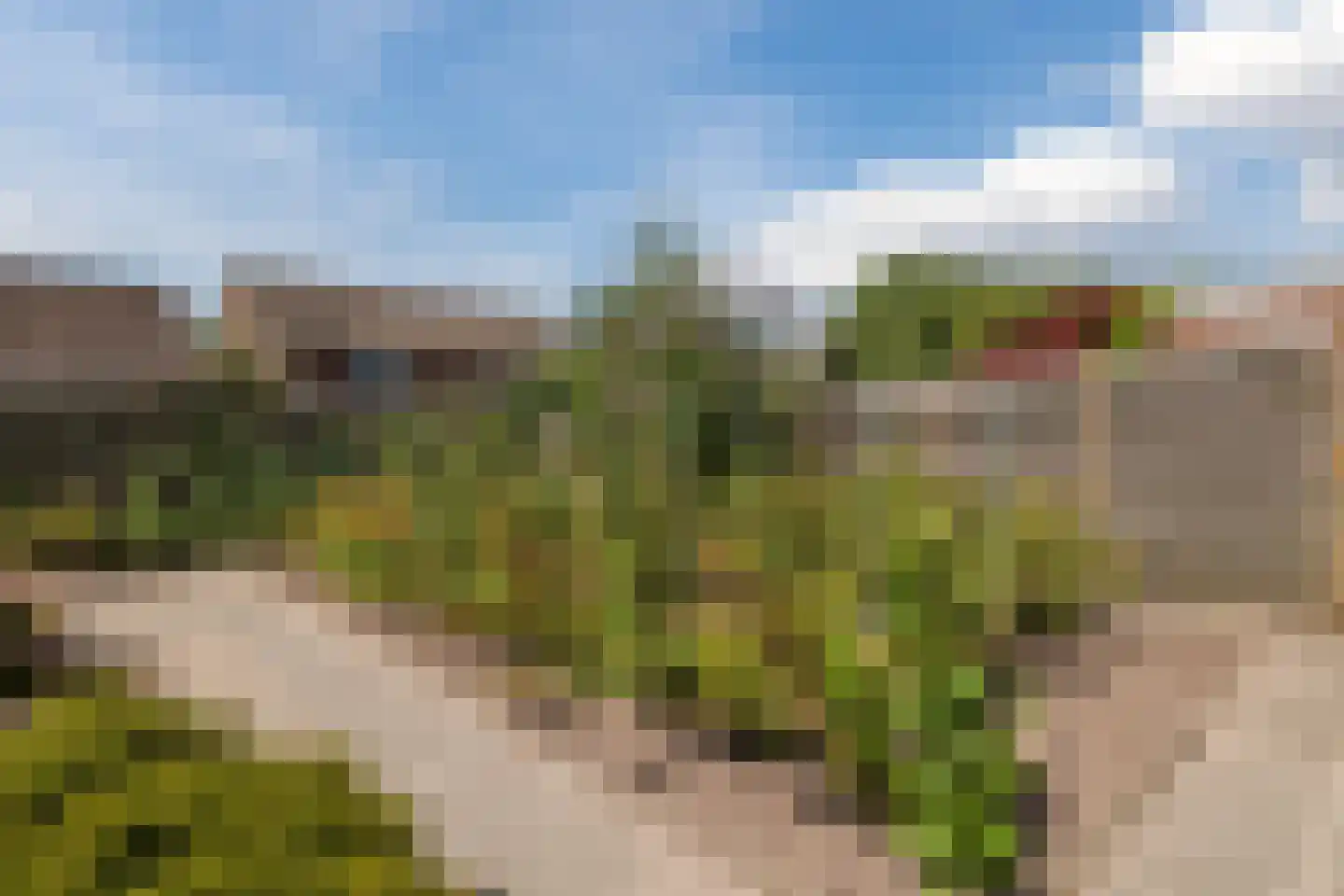 Buitenes 77 Assen thumbnail 50