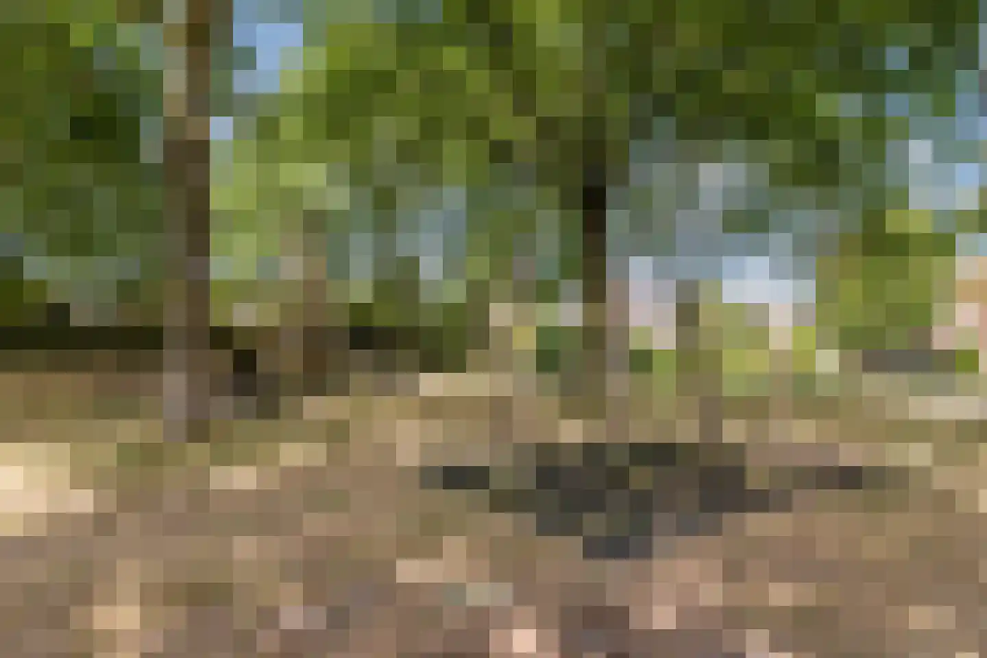 Buitenes 77 Assen thumbnail 51