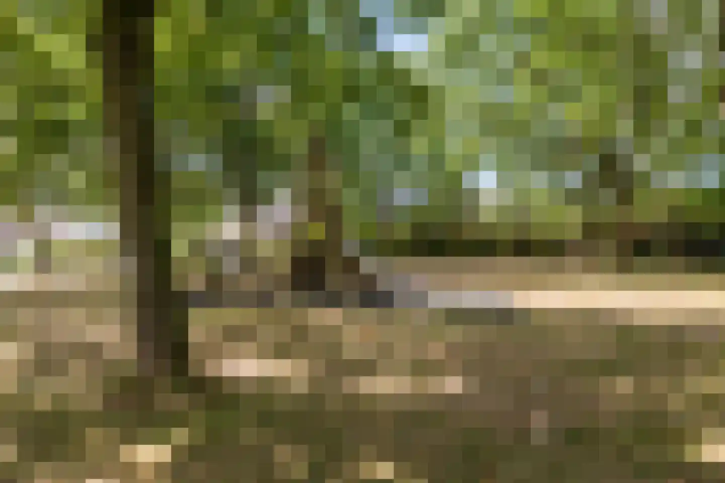 Buitenes 77 Assen thumbnail 52